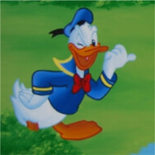 Muurschildering Donald Duck: Breng Humor en Nostalgie in de Kinderkamer